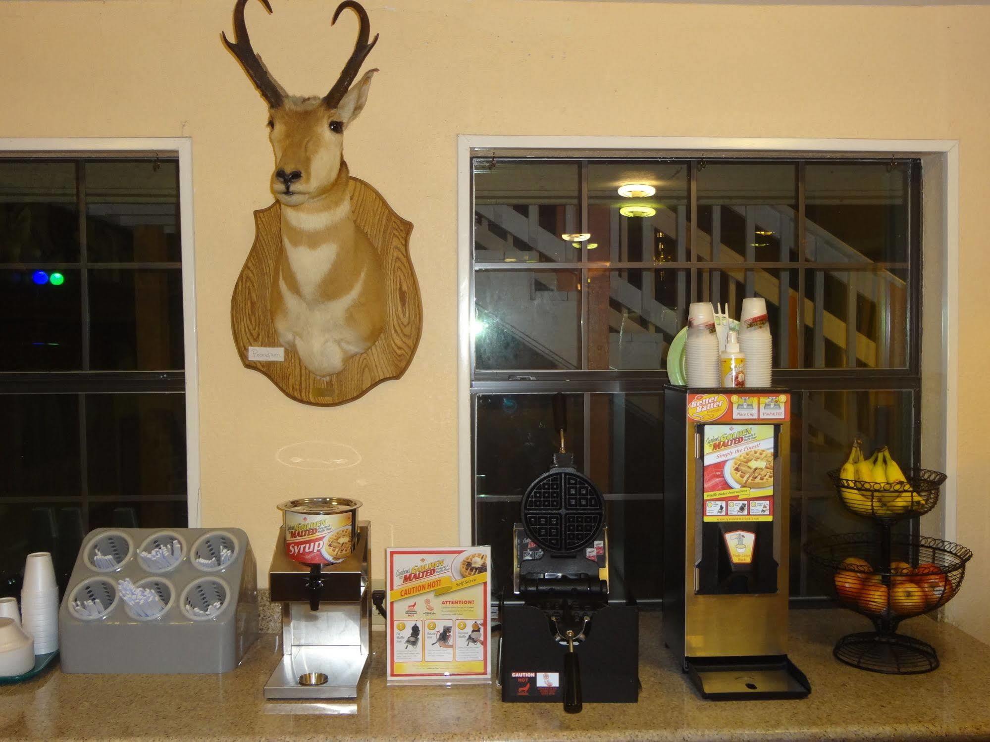 Antlers Inn Goliad Exteriér fotografie